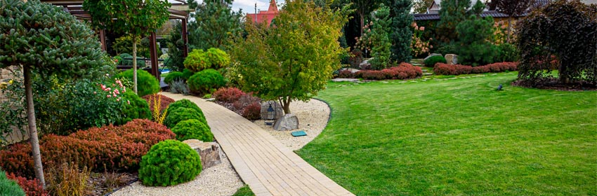landscaping design